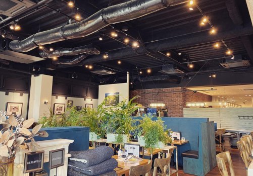 Успокаивающее пространство с комнатными растениями