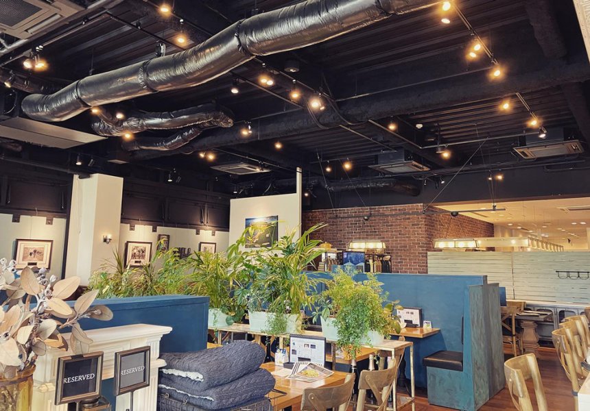 Успокаивающее пространство с комнатными растениями