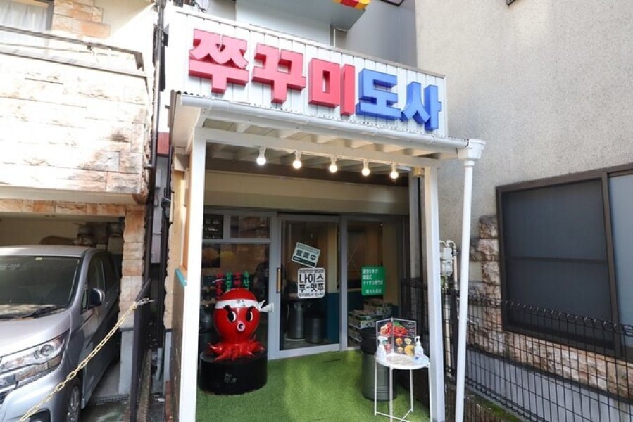 Внешний вид