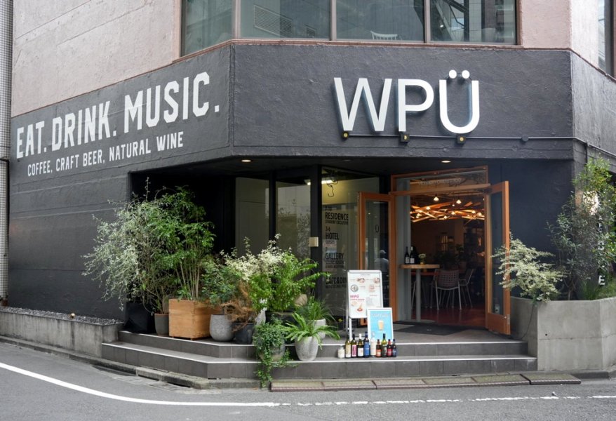 Внешний вид