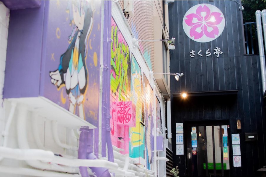 Внешний вид