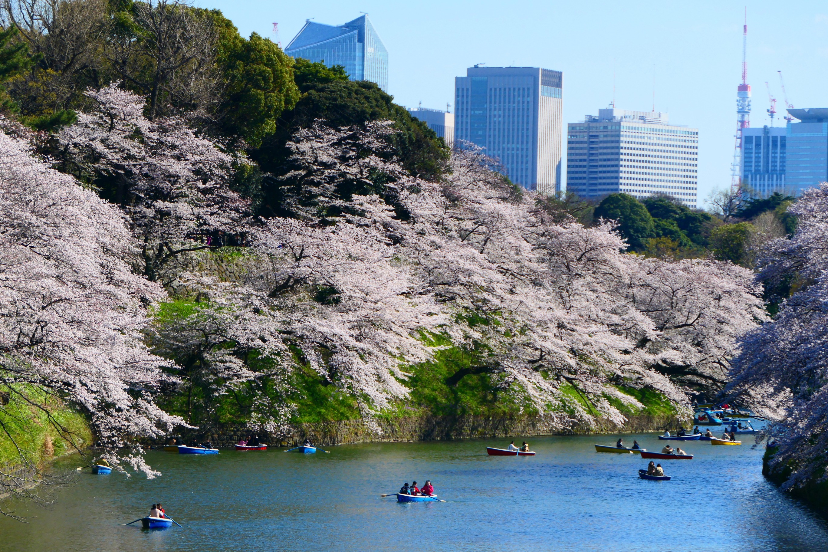 千鳥ヶ淵緑道